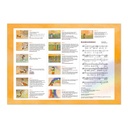 Kamishibai - Die Regenbogendusche