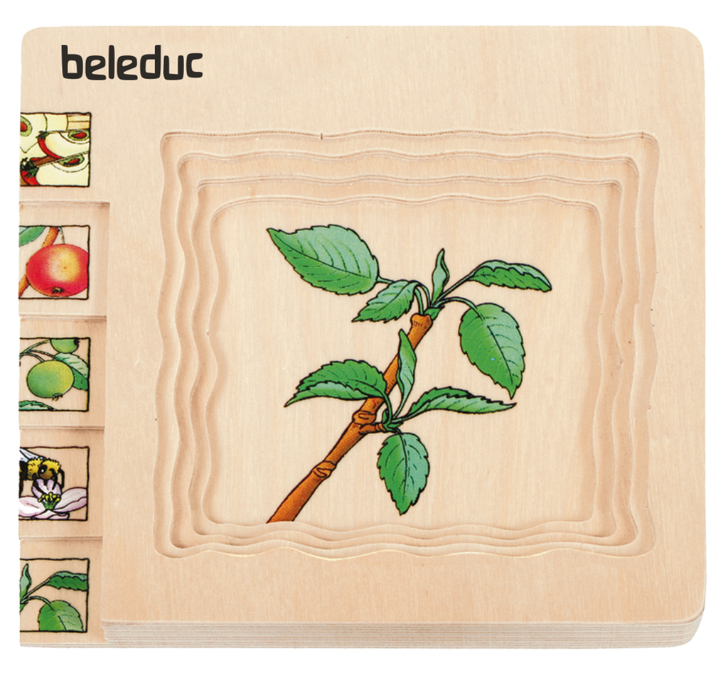 Lagen-Puzzle "Apfel"