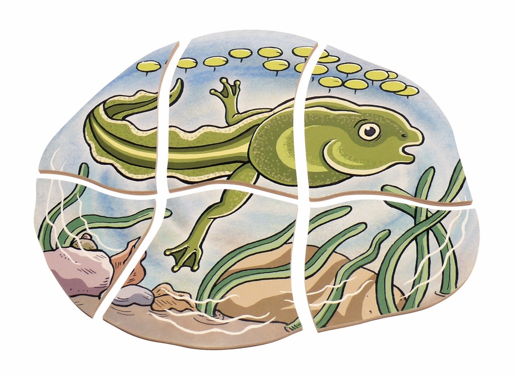 Lagen-Puzzle "Frosch"