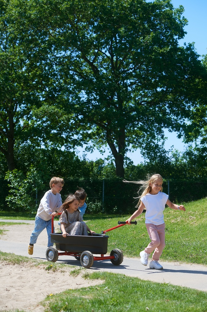 VIKING EXPLORER Surfer Boat