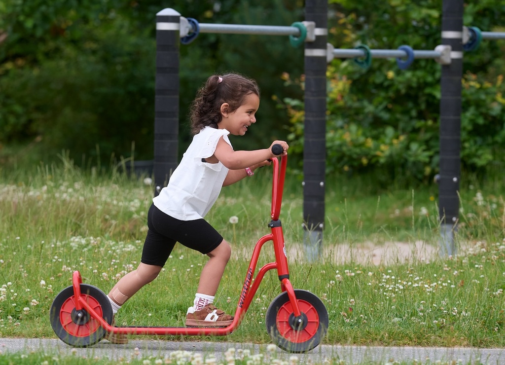 Mini Roller mit einem Hinterrad
