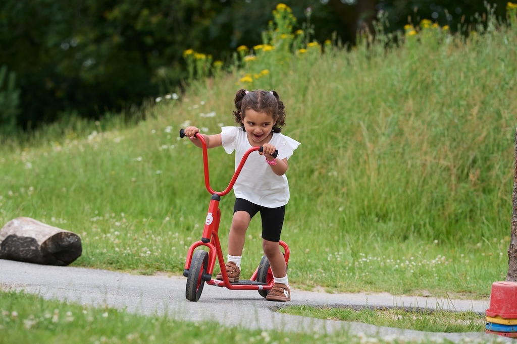 Mini Roller mit einem Hinterrad