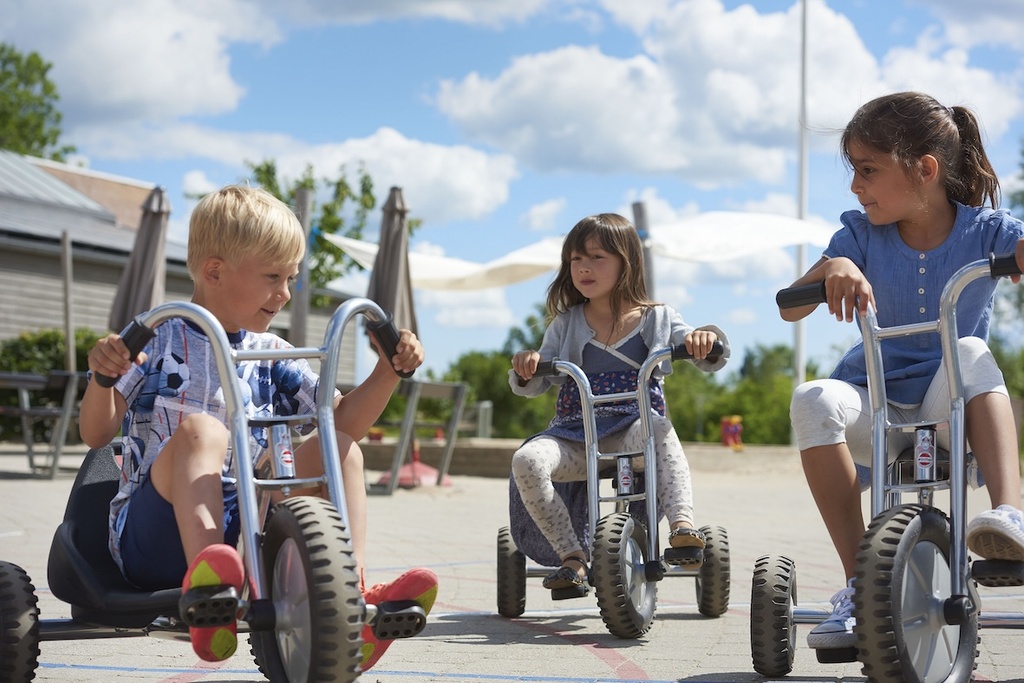 Viking Explorer OFF-ROAD Easy Rider