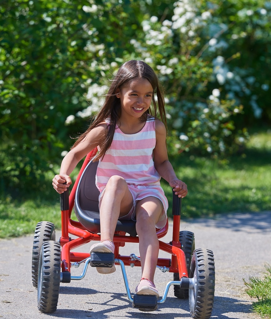 Viking Explorer Fun Cart Large