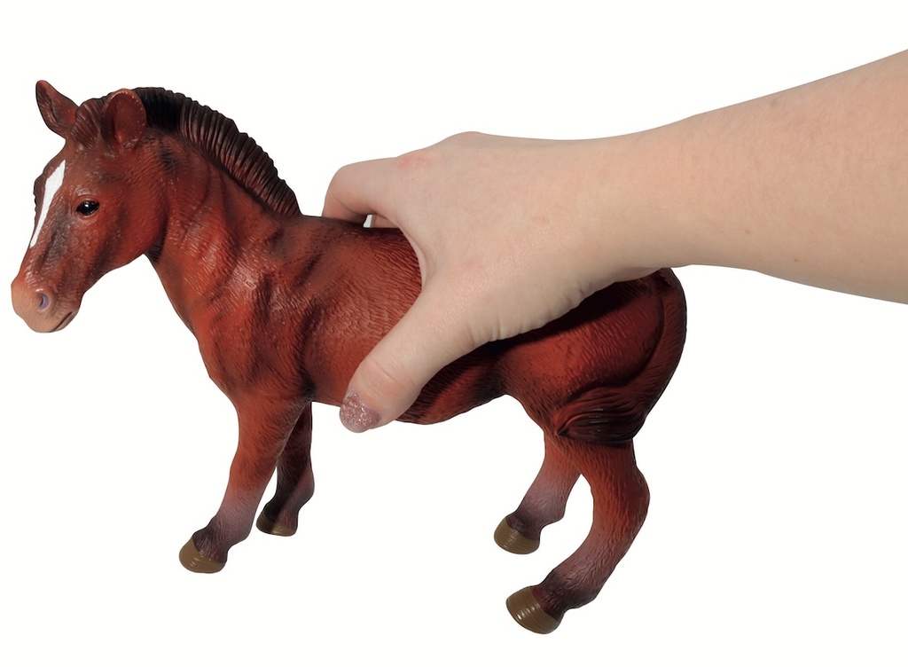 Bauernhof-Tiere, 5 teilig