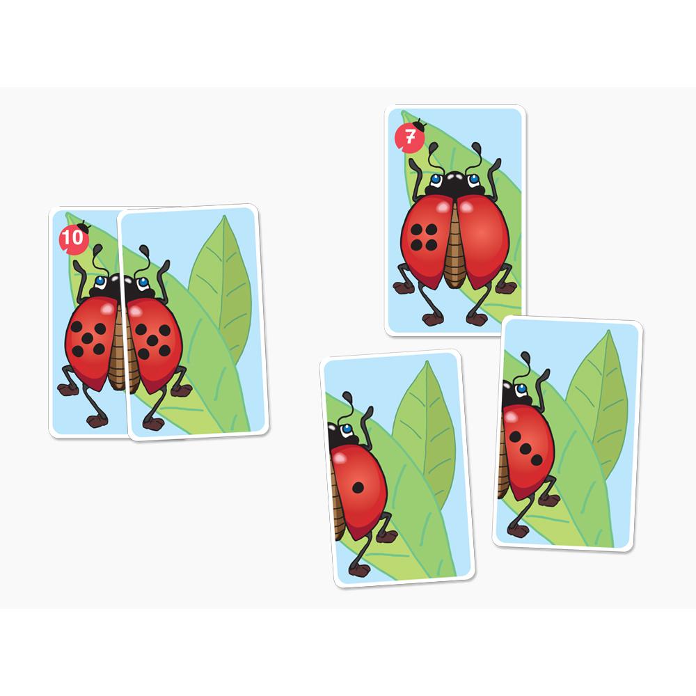 Paket: Mengen und Zahlen