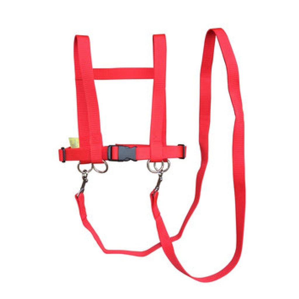 Größenverstellbare Pferdespielleine