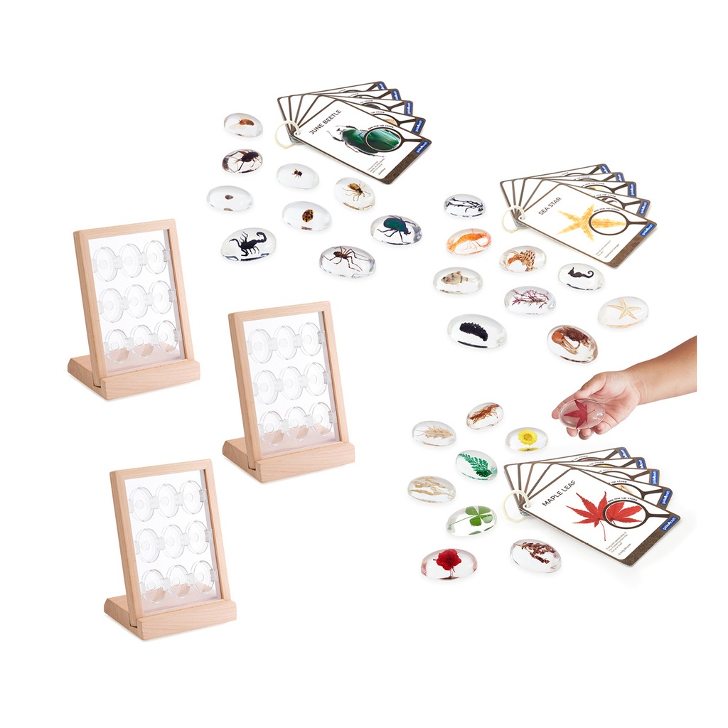 Acryltiere & Pfanzen Set mit Display