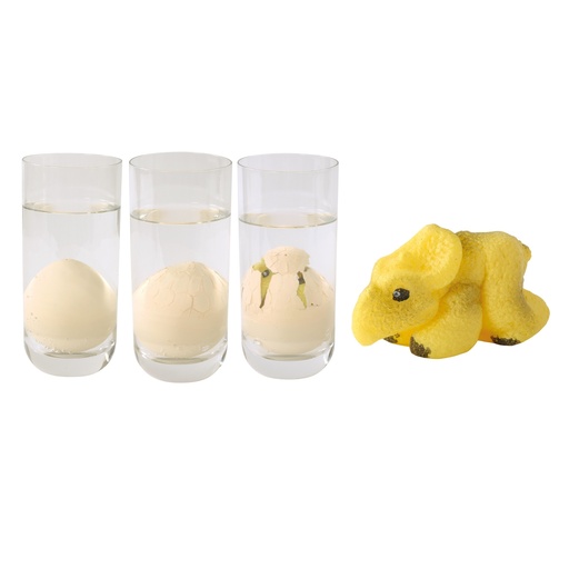 [114018] Schlüpfende Dinosaurier