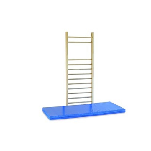 [107129] Sprossenwand 260x100cm, Einzelfeld, DIN 16 Sprossen, 1.+3. Sprosse vorgelagert, mit Leerfeld, inkl. Befest. Material^